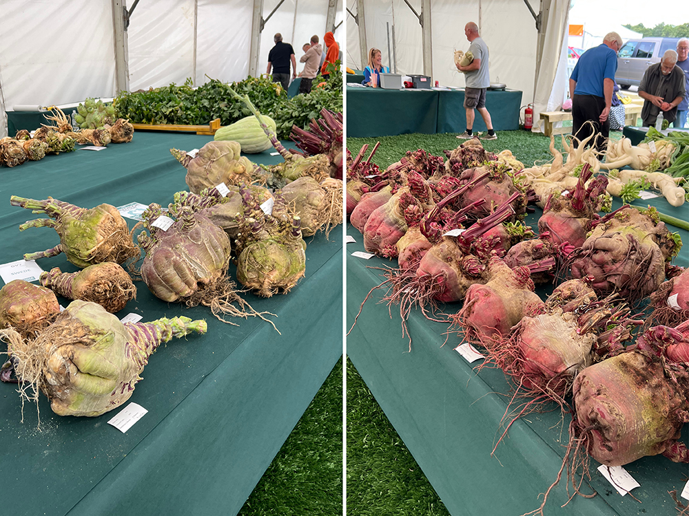 Calling occupants of interplanetary craft - immense, otherworldly organic creations descend upon the CANNA Giant Veg Championships at Malvern