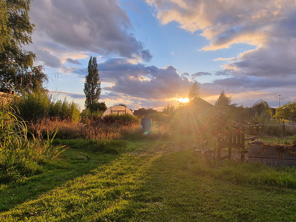 Welcome to Shipley Eco Action Gardens