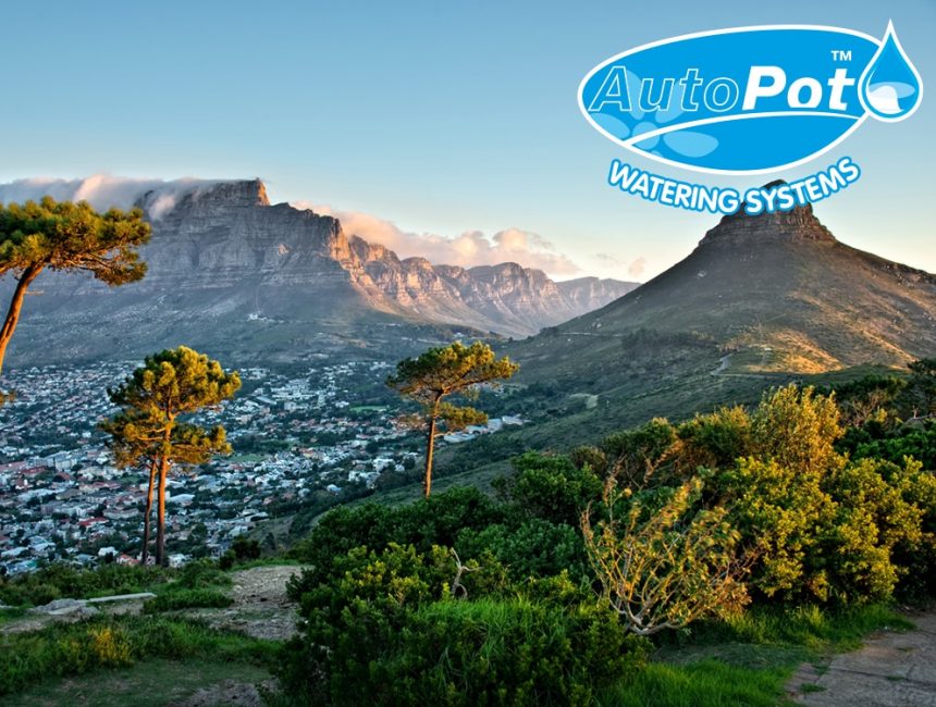 Signal Hill, Cape Town, South Africa