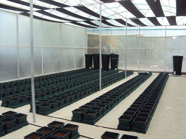 AutoPot in the Maldives