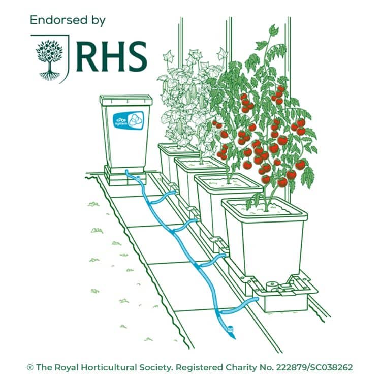 RHS 4Pot illustration