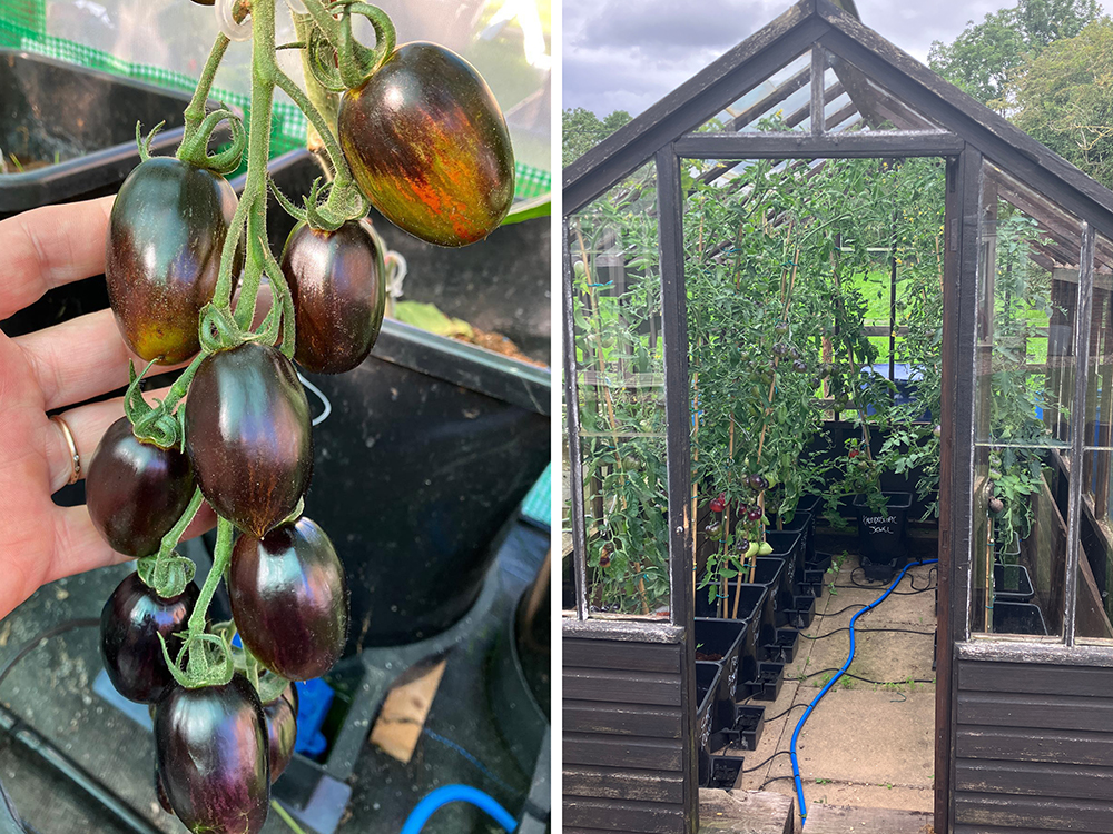 Because they’re worth it - it’s no accident that plants thrive in well-kept growing spaces