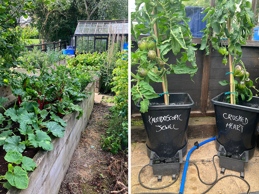 Walk this way, for Crushed Hearts and Kaledescopic Jewels of the Niall