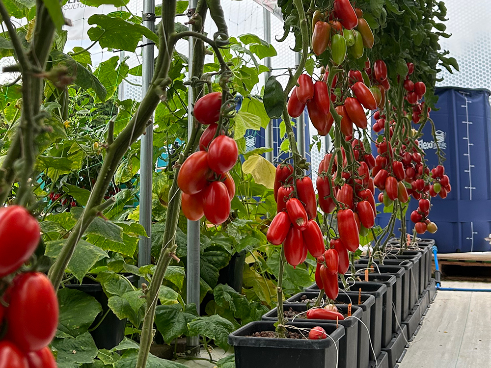 Options abound when it comes to increased water supply, including these FlexiTank collsapsible reservoirs