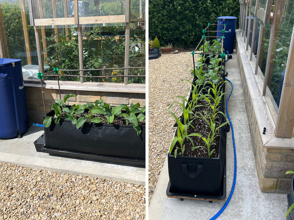 Tray2Grow Systems with 107.5 L / 28 gal fabric planters