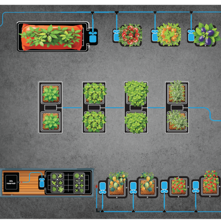 Twin Tray2Grow With 12Pot System and easy2grow8