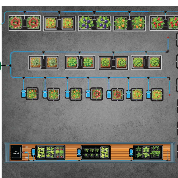Triple Tray2Grow With 13Pot System and easy2grow 18