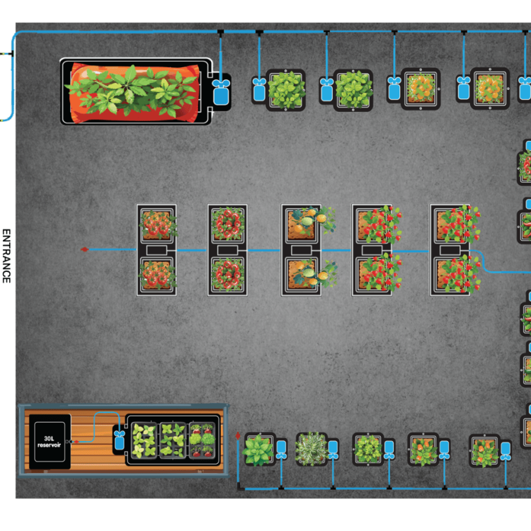 Twin Tray2Grow With 15Pot and easy2grow 10