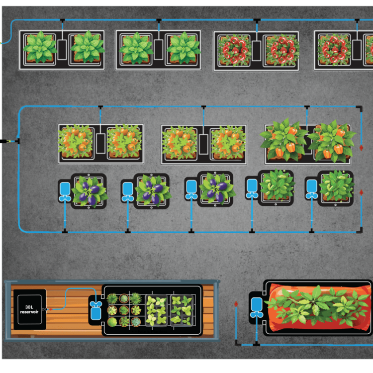 Twin Tray2Grow With 9Pot and easy2grow 14