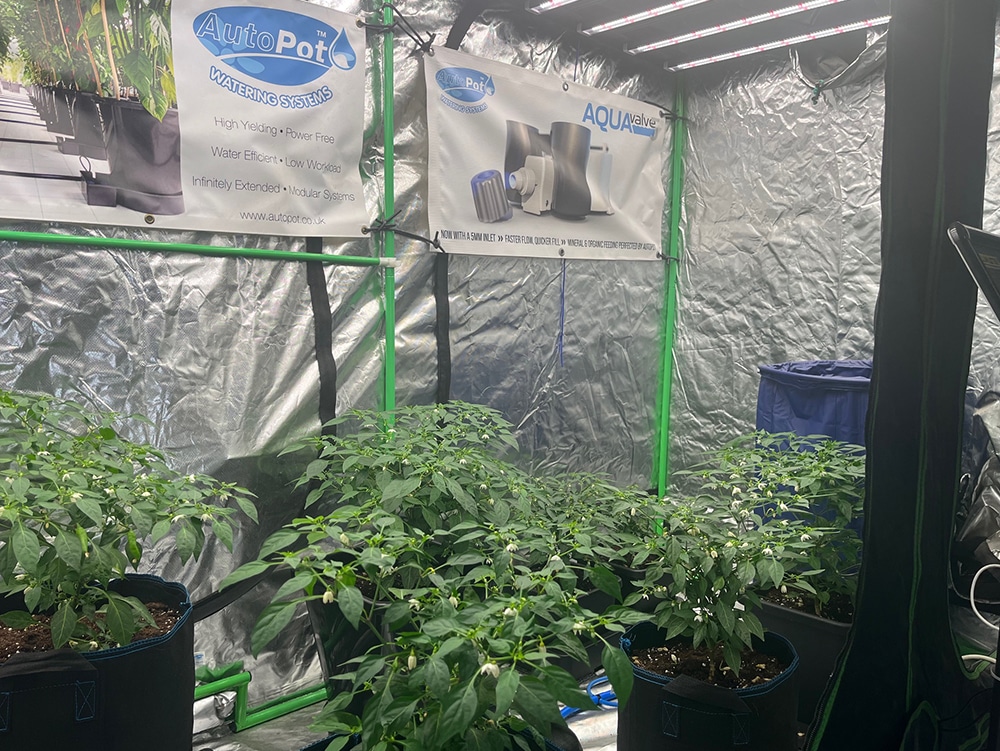 LED fixtures are a godsend where saving headroom is concerned