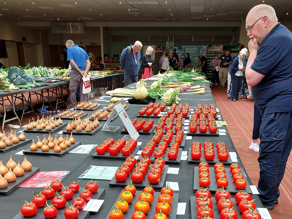 Pondering the pomodori? There’s always such a depth of quality
on show that choosing a winner is one heck of a task