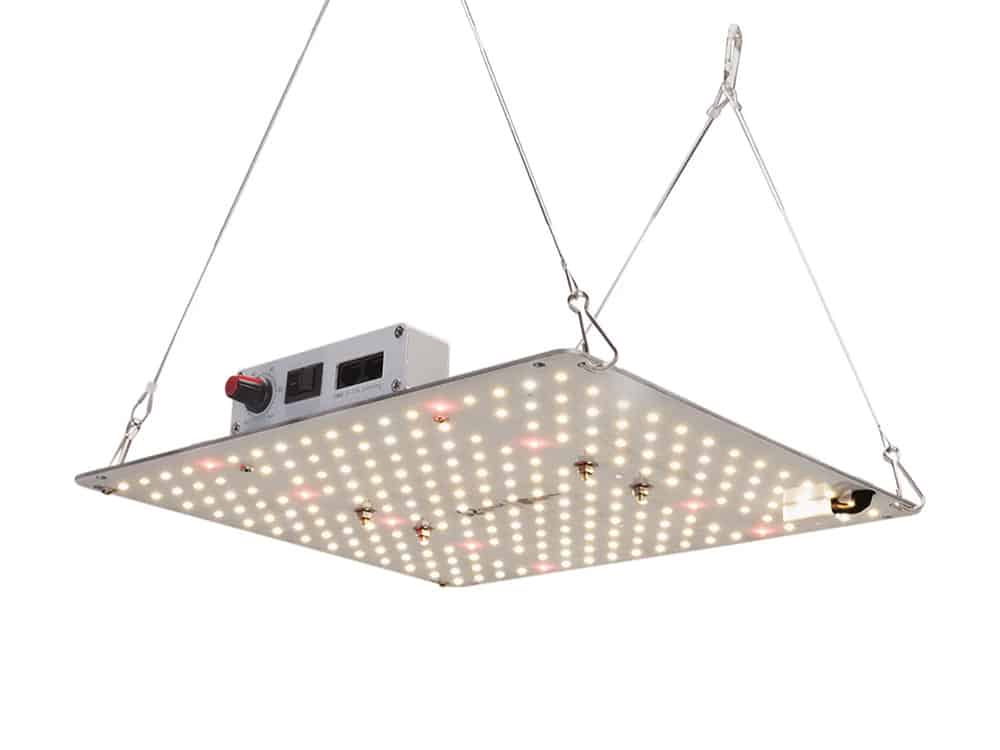 Inexpensive LED fixtures like this offer excellent coverage, full spectrum output, and superb adjustability