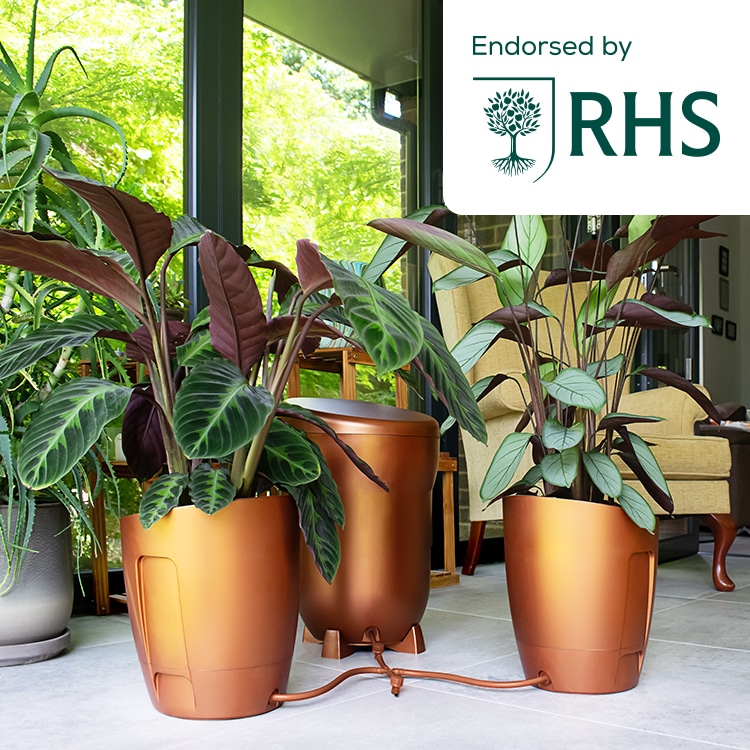 Khloris Watering System