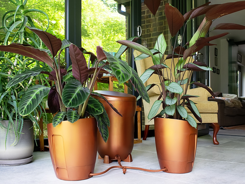 Khloris, the ultimate in indoor automatic plant watering