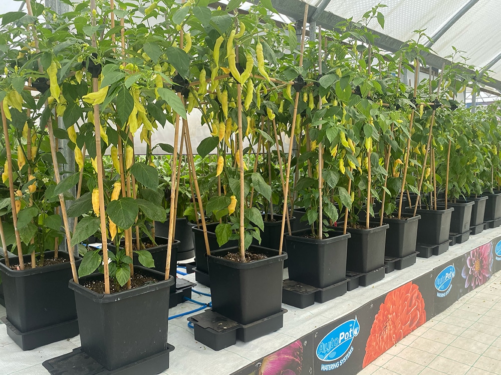 You can take your 1Pot setup to any lengths desired, extension kits
are simply added in a matter of minutes, tool free, with zero disruption to the existing system