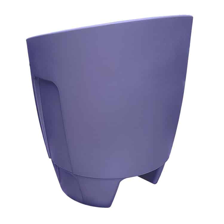 Khloris Reservoir side - blackberry