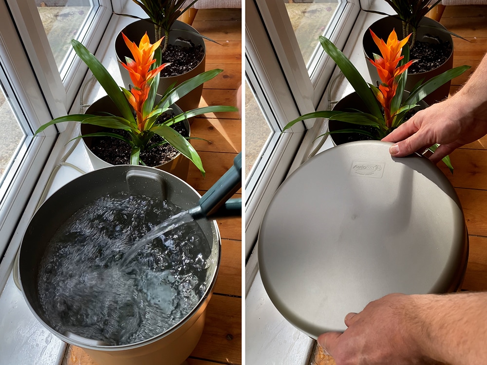 Fill her up, top her off - finishing touches with the reservoir