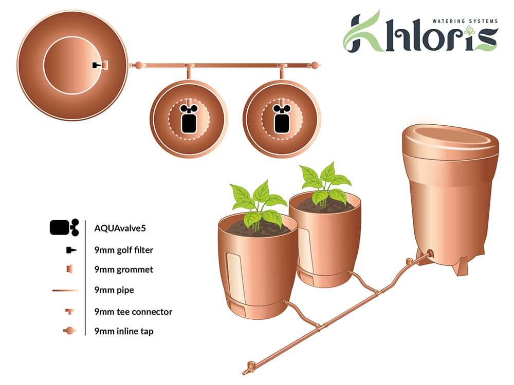 Above: Khloris Layout Option 1 - the T-Configuration