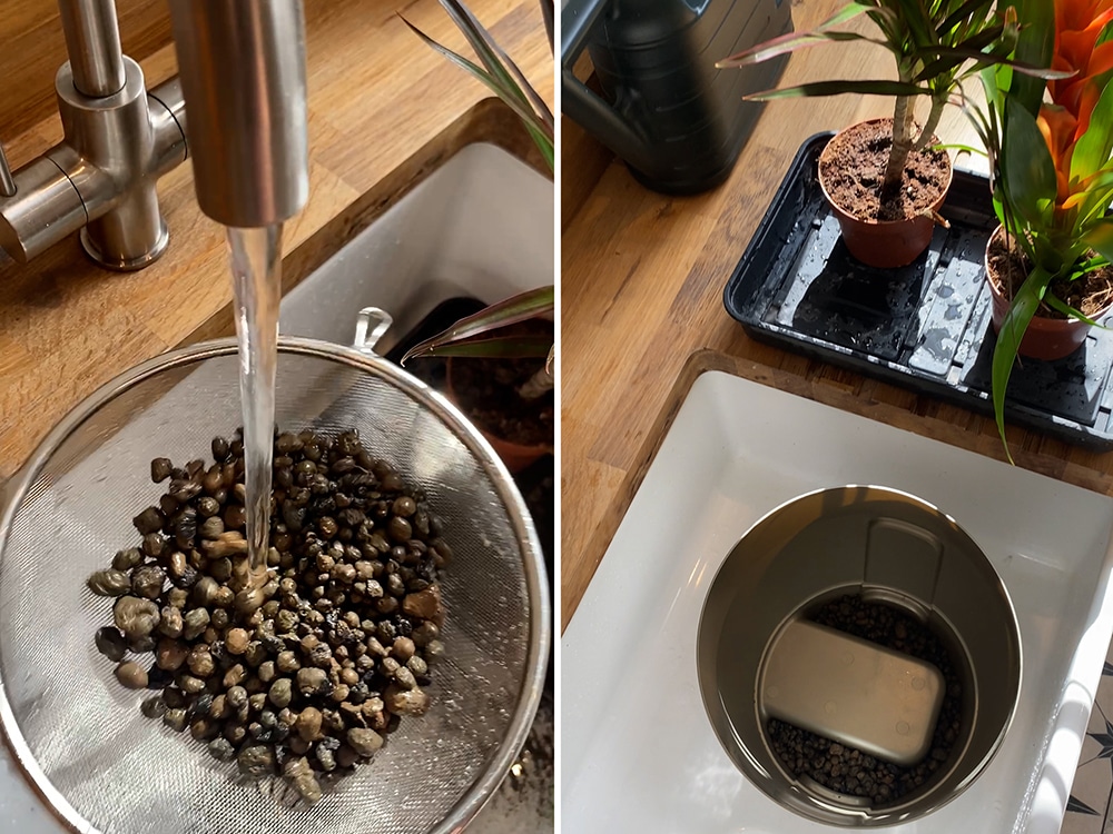 Rinsing the clay Spheri pebbles - your beloved’s best sieve will always do!