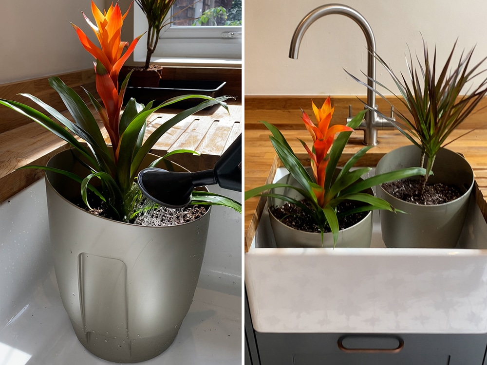 Water through the pots and set aside to drain whilst you assemble the system