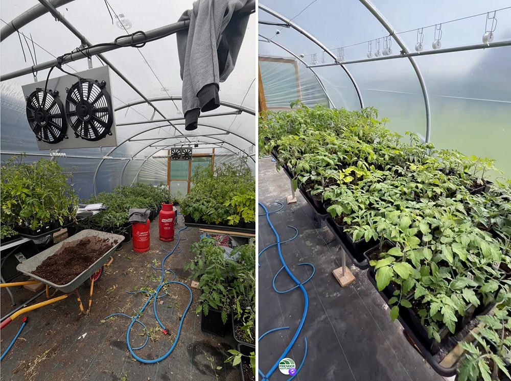 Niall Radford Tomato Wrangler! Our hero juggles young plants
with system setup in the same space