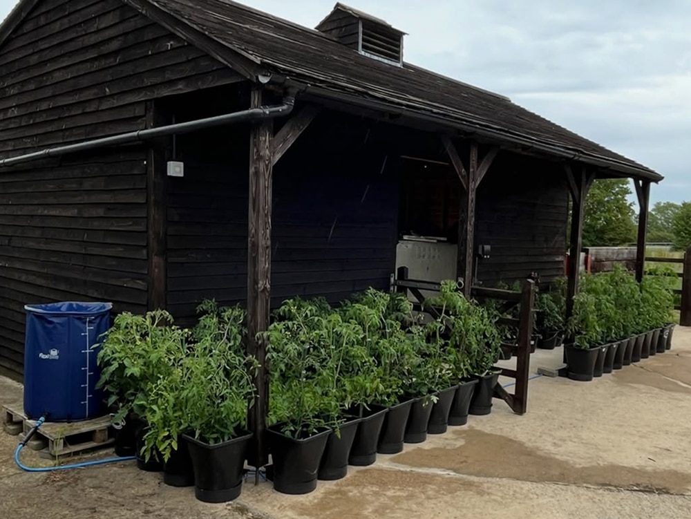 Niall’s stable yard 1Pot XL modules