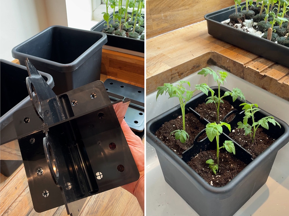 Note the perforated base in the PotDivider, always ensure your grow media falls into the holes