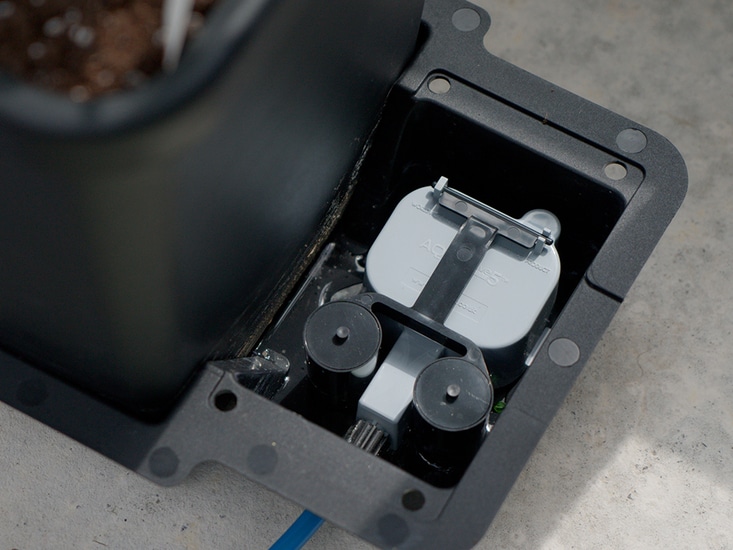 Peeping into the tray allows you to keep tabs
on your roots and ensure none go rogue